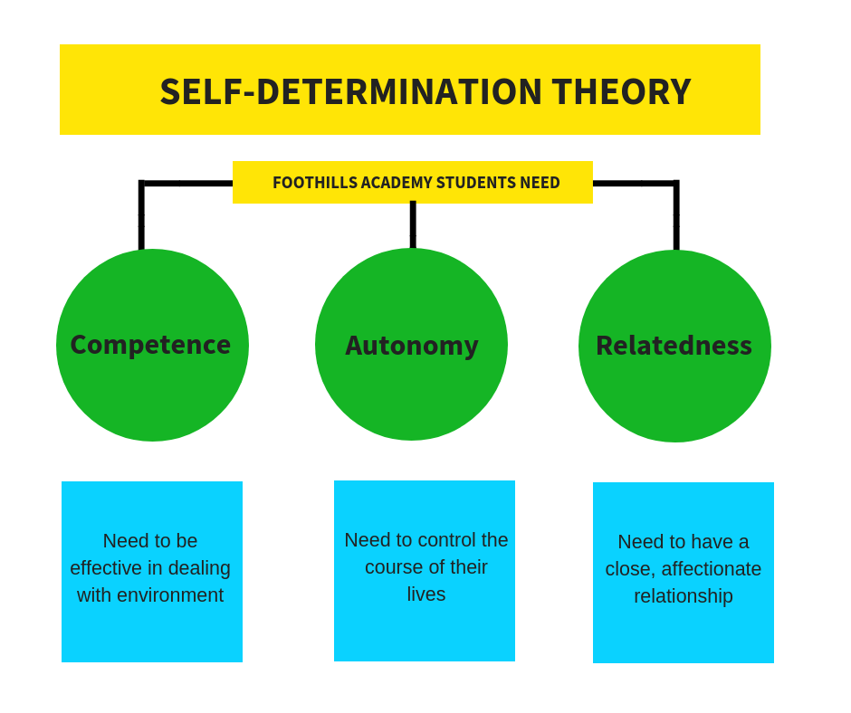 Self-determination Theory Illustration