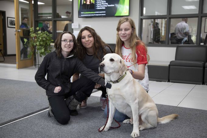 Therapy dog at the school