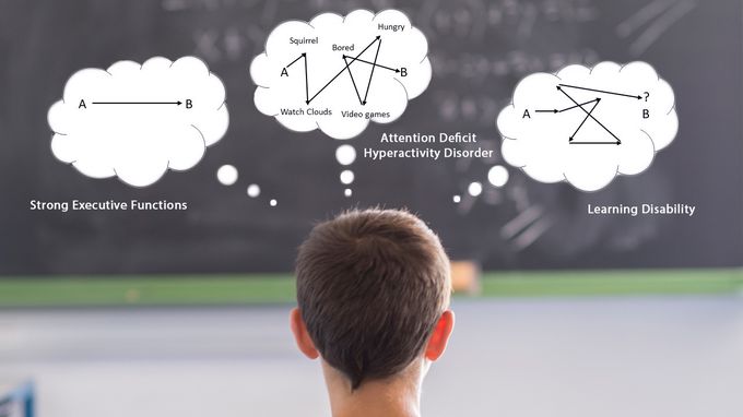 Executive Function vs ADHD vs LD