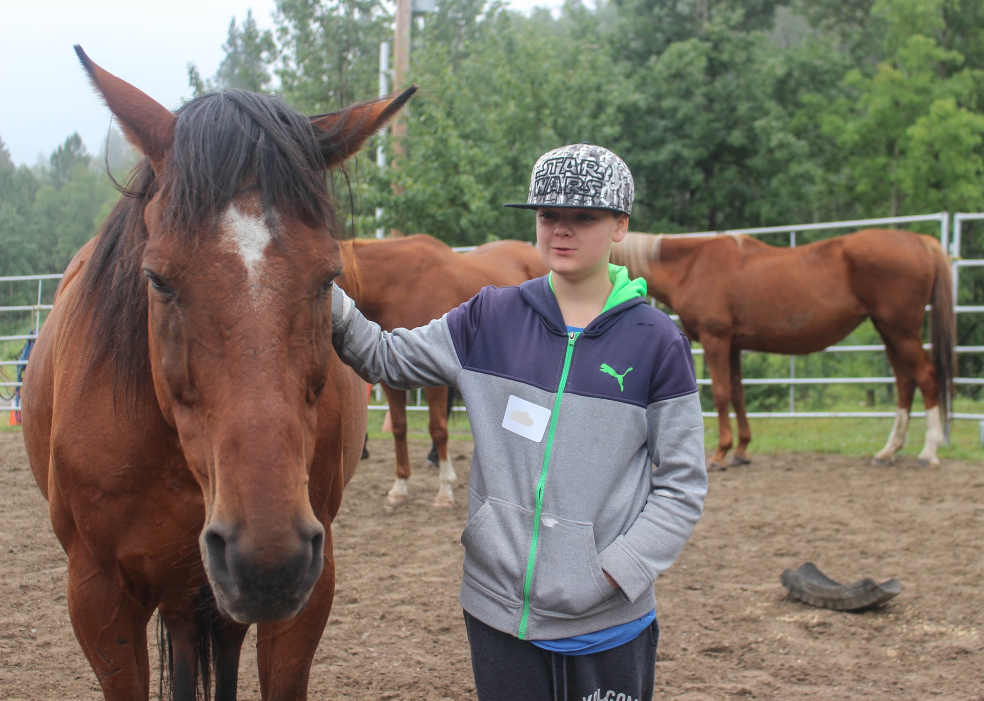 Horsemanship Program Foothills Academy
